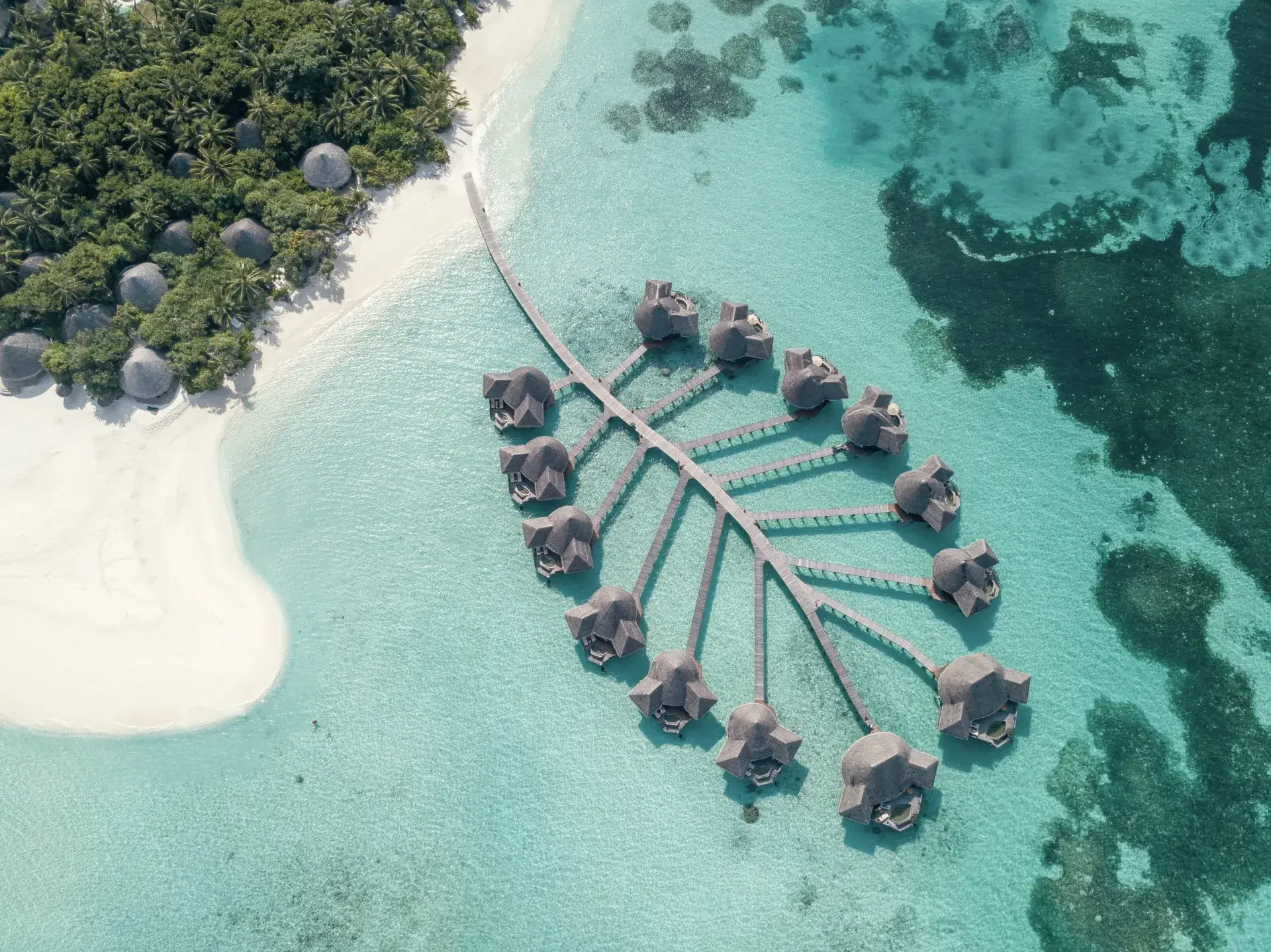 Leaf-shaped overwater villas at Coco Palm Dhuni Kolhu